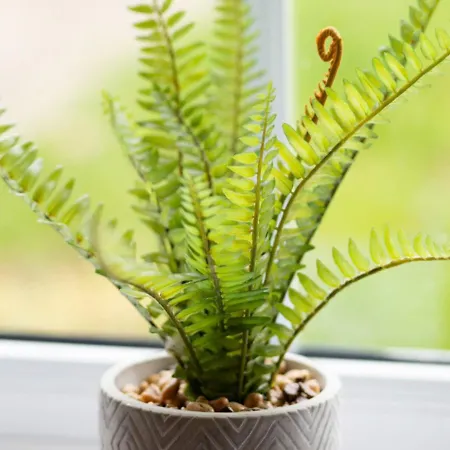 Ferienhaus The Captain's Compass *